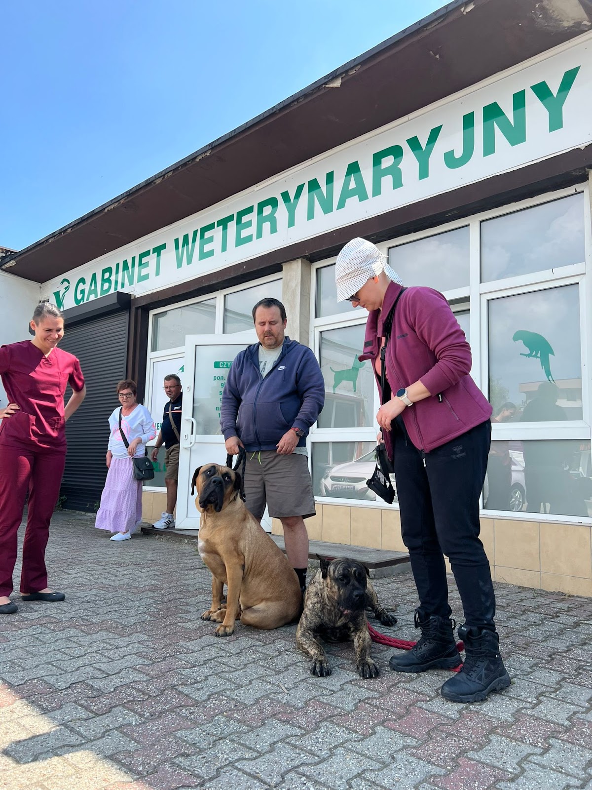 Zespół naszego gabinetu weterynaryjnego przed wejściem przy ulicy Stefana Batorego w Knurowie
